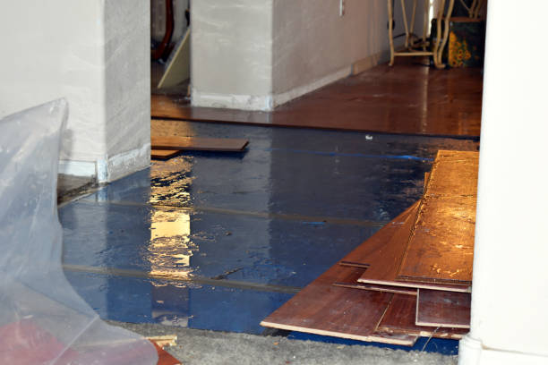 Professional Basement Water Removal technician working in Woodworth, LA