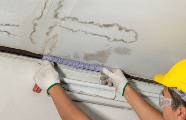 Reliable Basement Water Removal contractor in Woodworth, LA by Water Damage Irwin